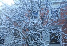 ❄️?Alerta en 3 provincias de Castilla-La Mancha por nieve, y también por vientos de hasta 85 km/h