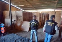 VÍDEO: Detenidas 124 personas en Toledo, Albacete, Ciudad Real y otras provincias por contrabando de tabaco