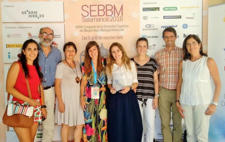 Investigadores de la UCLM describen una proteína que podría ayudar mucho a los diabéticos