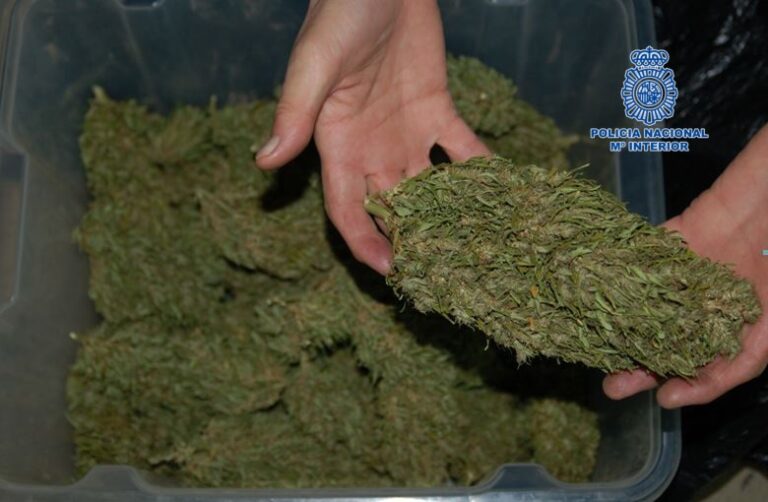Detenidos en Toledo por elaborar y distribuir marihuana y hachís