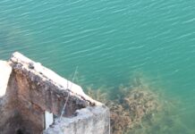 ¿Dónde pescar en C-LM? Consulta la nueva Orden de Vedas de Pesca