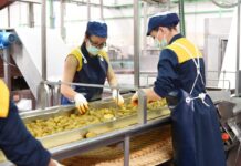 El Gobierno de Castilla-La Mancha publica el mapa de negociación colectiva por provincias