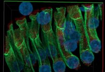 Una patente de EEUU es concedida a la UCLM para llevar a cabo este proyecto
