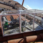 La concejalía de Medio Ambiente de Argamasilla de Alba pone en marcha una nueva campaña para reducir la población de palomas