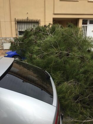 ? ?El viento provoca el corte de una calle en Albacete y daños en varios vehículos