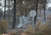 Denuncian la contratación de «profesionales no cualificados» en Infocam