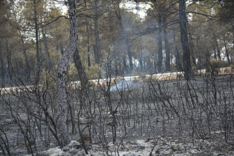 Extinguido el incendio que se declaró este domingo en Viso del Marqués