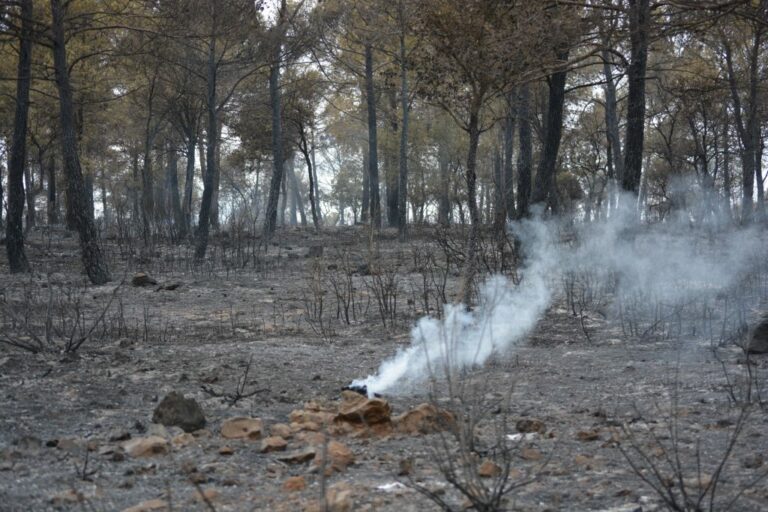 Así ha quedado la zona de Campillo de Altobuey tras el incendio [galería fotográfica]