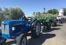 El campo de C-LM sin recibir las ayudas y castigado por la sequía