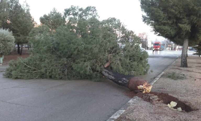 Un movimiento sísmico de magnitud 4,1 se deja sentir en Murcia, Alicante y Albacete