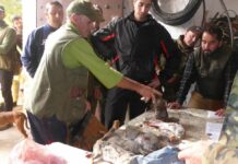 Podemos pide que los jóvenes no puedan cazar hasta los 16 años en Castilla-La Mancha