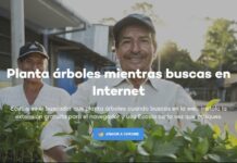 ¿Cómo plantar un árbol sin moverte de casa y con un solo «clic»?