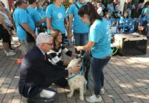 María Gil y Alberto Reina asisten a la demostración de terapia asistida con perros en la Feria