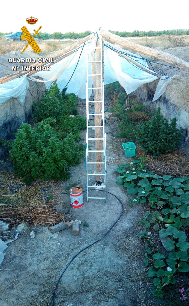 La Guardia Civil de Albacete detiene a dos personas e interviene casi 33 kilos de marihuana