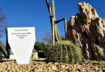 Los rincones más bonitos del Jardín Botánico de Castilla-La Mancha