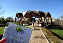 Plantan a una chica en el Jardín Botánico de C-LM