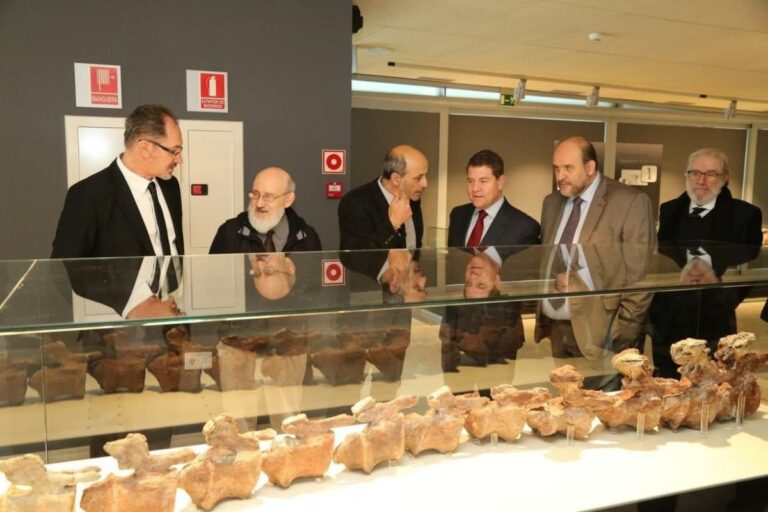 Jornadas de puertas abiertas en el Museo Paleontológico de Cuenca