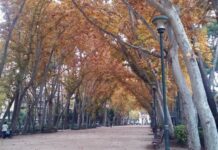 El tiempo soleado continuará hasta el día de la Constitución y las lluvias, nevadas y el frío volverán por la Inmaculada