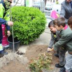 Los niños de un colegio de Torrijos plantan un árbol en honor a los enfermos de POMPE