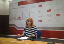 PSOE asegura que “no hay caos” sino gripe y que el PP ya podía haber tratado dignamente la sanidad cuando gobernó