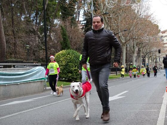 ¿Has corrido la San Silvestre canina de Albacete? ¡Búscate en las fotos!