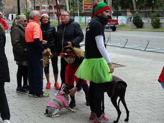 ¿Has corrido la San Silvestre canina de Albacete? ¡Búscate en las fotos!