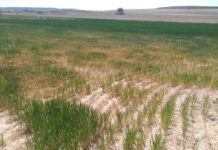 Cooperativas Agro-alimentarias reclama una planificación más justa de los recursos hídricos