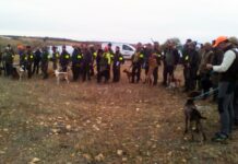 De momento, siguen los 14 años: ya te puedes sacar la licencia de caza en 2018