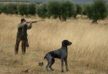 ¿Por qué los cazadores de Castilla-La Mancha rechazan la nueva Ley de Caza?