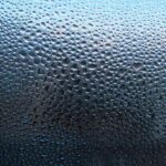 Cuenca y Guadalajara, en aviso amarillo por bajas temperaturas este lunes