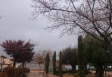 Este domingo en Castilla-La Mancha: cielos cubiertos y máximas en aumento