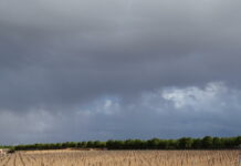 Sigue el mal tiempo: cielo cubierto, lluvias y vientos fuertes