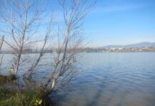 Se mantendrán los caudales desde las presas de Vicario para mejorar lo que está pasando en el Guadiana