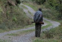 La Federación de Caza de C-LM pide a la Junta que apoye a las sociedades de caza ante la plaga de conejos