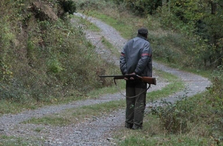 Herido un hombre en una cacería en Cabezarrubias del Puerto (Ciudad Real)