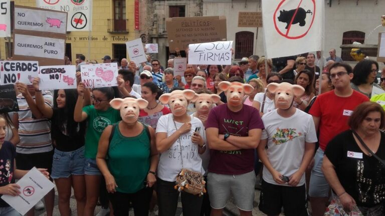 150 personas se concentran en Talavera para rechazar la implantación de macrogranjas porcinas en Gamonal