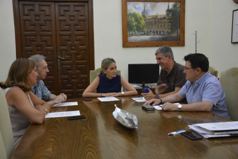 Iniciada la licitación del nuevo campo multideportivo de la Escuela de Gimnasia de Toledo por 239.703 euros