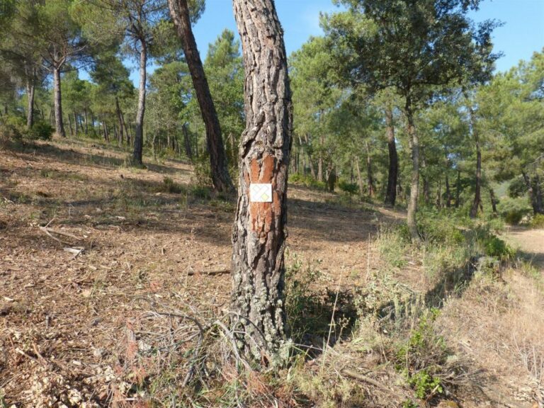 La provincia de Toledo contará con otros 90 kilómetros más de senderos tras la aprobación de siete propuestas