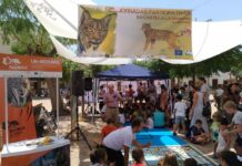 Iberlince organiza jornadas divulgativas en los municipios de reintroducción del lince ibérico en Castilla-La Mancha