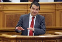 Martínez Arroyo avanza que se reunirá con Fomento para buscar solución a la plaga de conejos en La Mancha