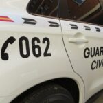 Detenida tras matar a un gato metiéndolo en la lavadora en un municipio de Ciudad Real