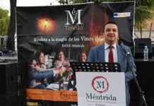 Martínez Arroyo asegura que en esta campaña de vendimia los precios permitirán “la rentabilidad” del cultivo en C-LM