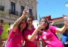 La Mancha se suma al Día Movimiento vino DO