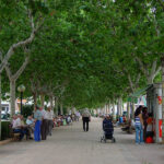 Page se emociona dando anuncios para Motilla del Palancar