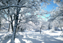 No guardes la bufanda: nevadas abundantes y mucho frío hasta el domingo