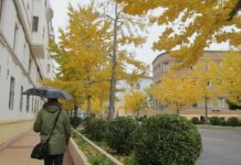 Este domingo lluvias generalizadas y temperaturas sin cambios