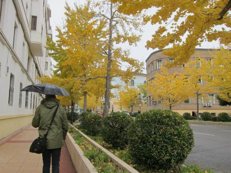 Este domingo lluvias generalizadas y temperaturas sin cambios