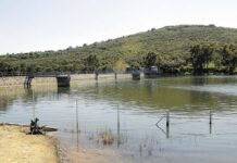 Los pueblos de la Mancomunidad de Aguas del Sorbe se abastecerán del embalse de Alcorlo por la prealerta