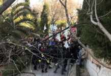 El PSOE acusa al PP de incitar al escrache por la plaga de conejos y Guarinos les rebate que “defienden lo suyo”