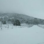 Primeras imágenes de la nevada en Albacete, que deja a 60 alumnos sin clase